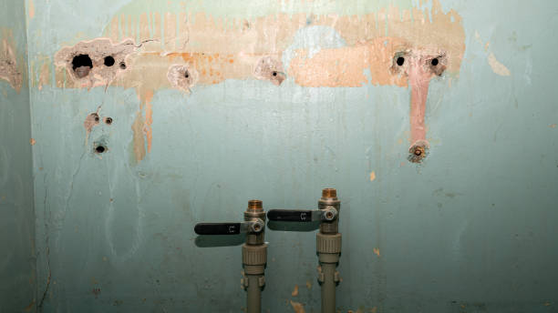 Best Mold removal after water damage  in Red Oak, NC