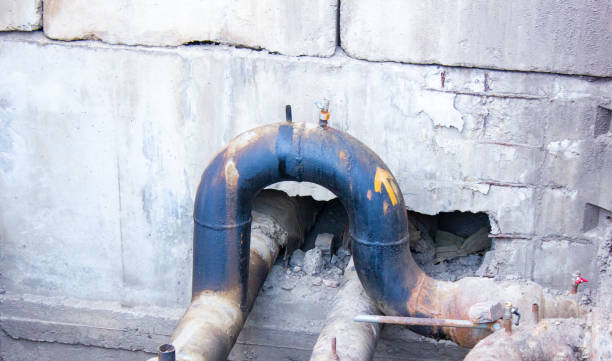 Best Professional water damage repair  in Red Oak, NC