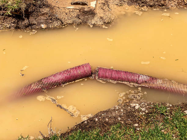 Best 24-hour water damage restoration  in Red Oak, NC