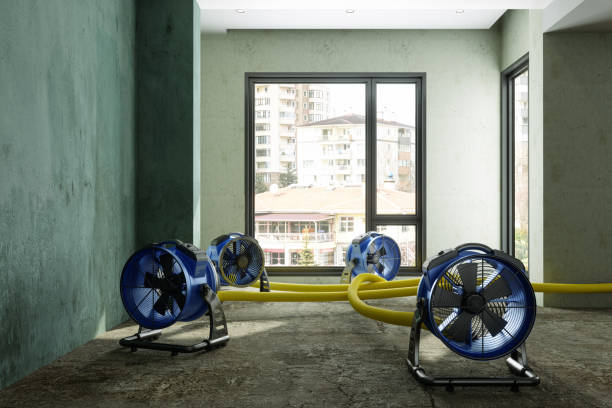 Professional Water damage restoration in NC