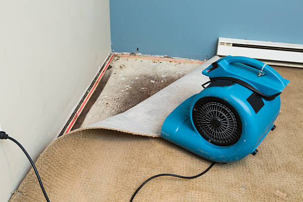 Best Emergency water damage restoration  in Red Oak, NC